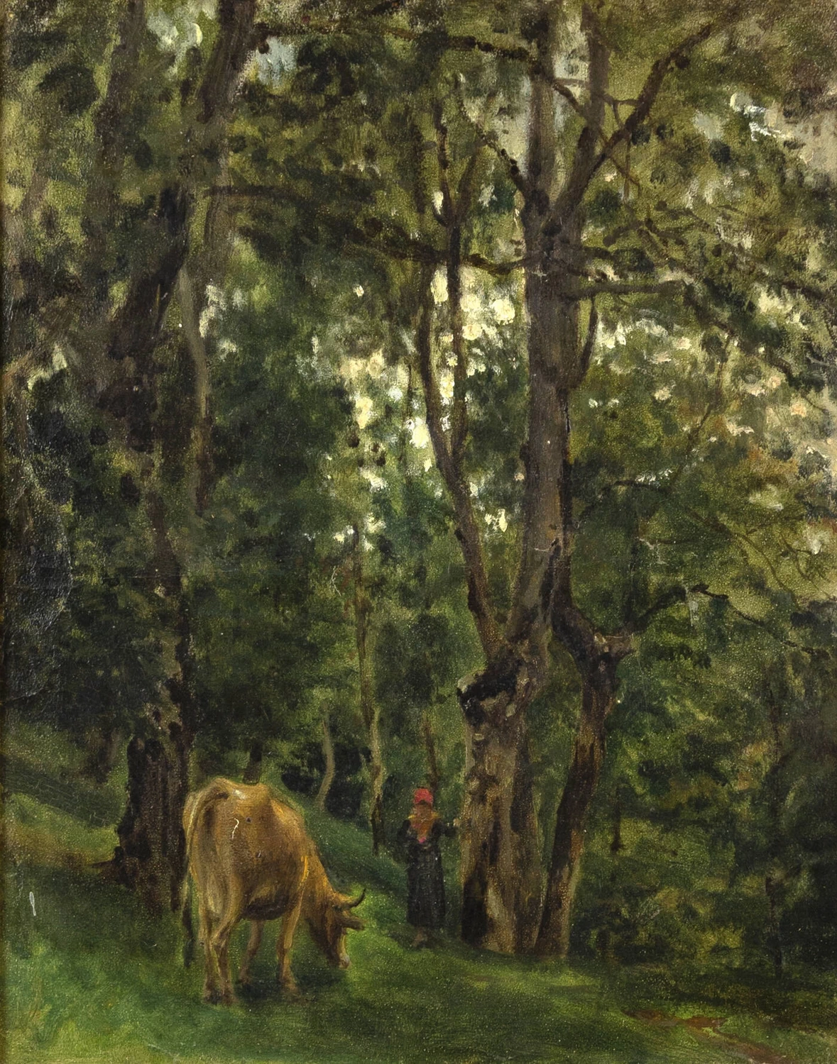 Pascolo nell'ombra
